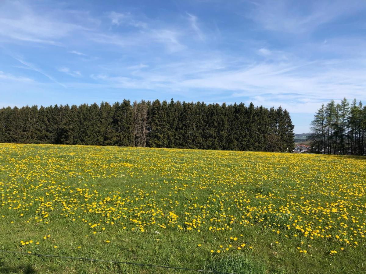 Am Wald Hachenburg