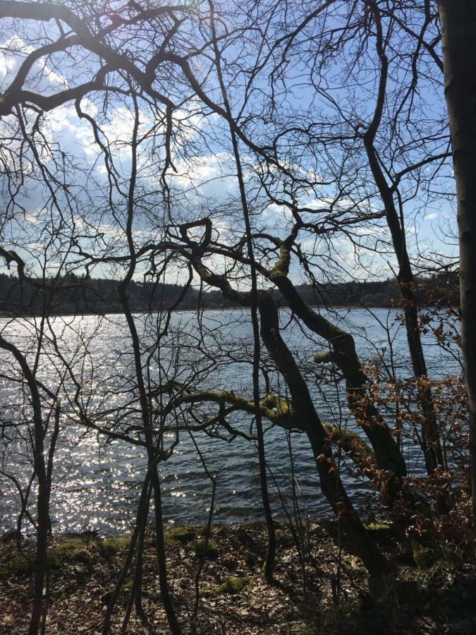 Am Wald Apartment